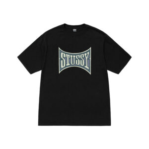 STUSSY CHAMPION PIGMENT DYED TEE