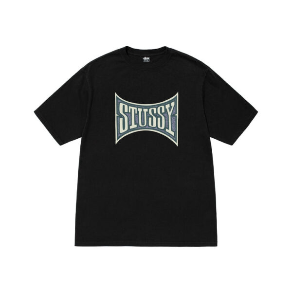 STUSSY CHAMPION PIGMENT DYED TEE