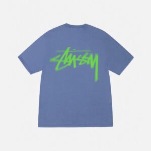 STUSSY DIZZY STOCK TEE